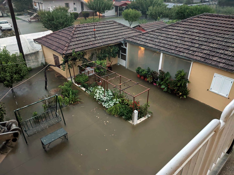 daniel karditsomagoula