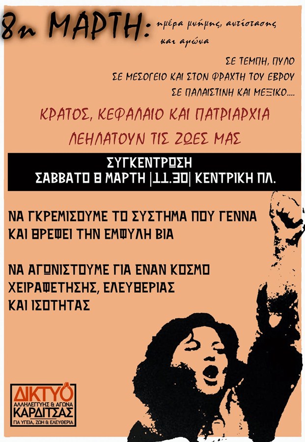 diktyogynaika2